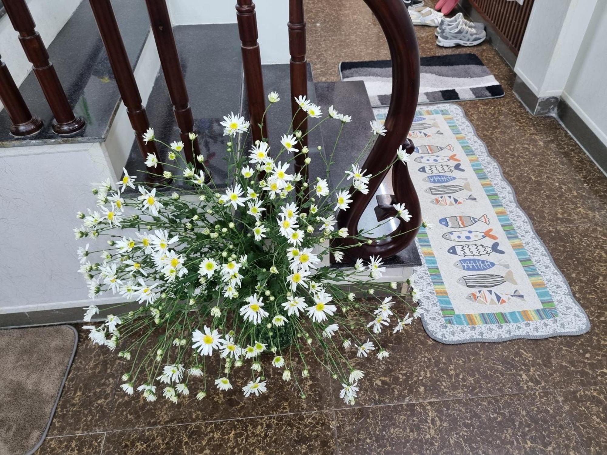 May'S Cottage Ханой Экстерьер фото